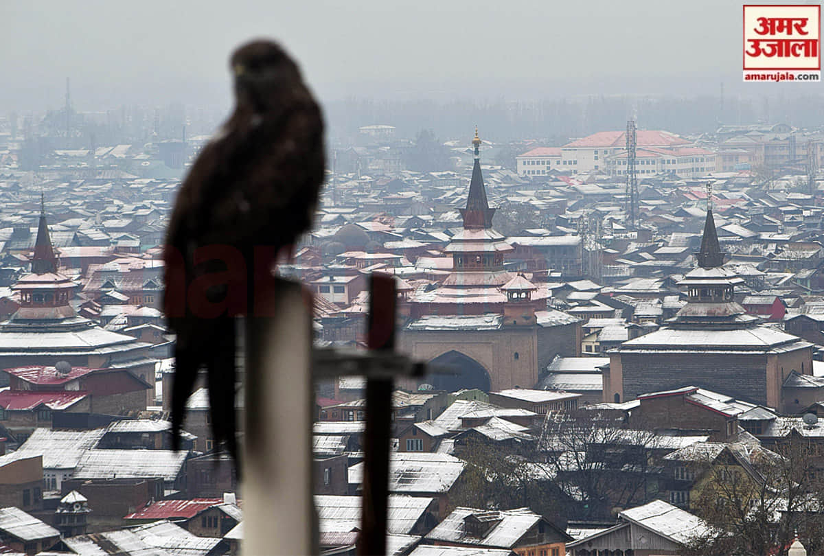 cheapest tour packages from delhi, low budget tourist places in india