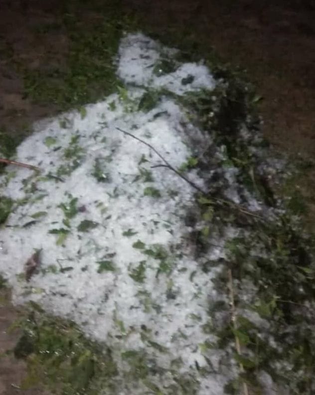 much cold due to heavy rain and hail, farmers upset