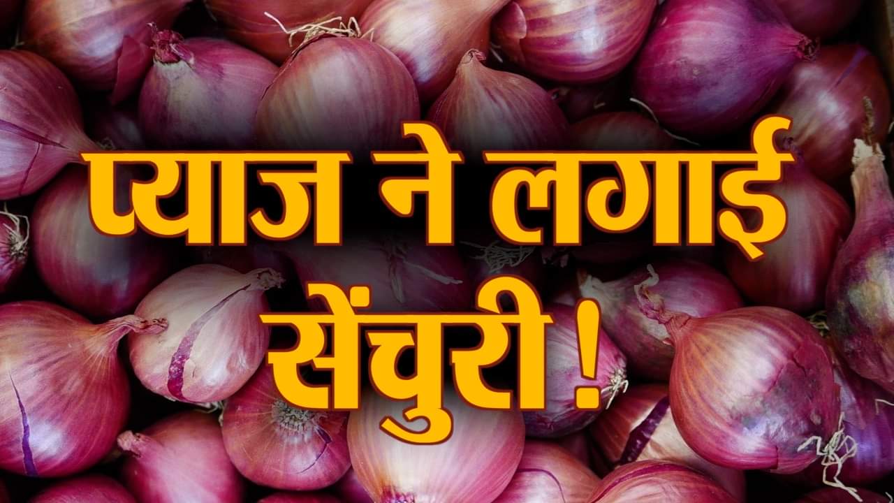 watch business news including onion price at rupees 100