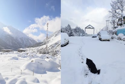 More than 200 roads, including two national highways closed due to rain and snow in hp