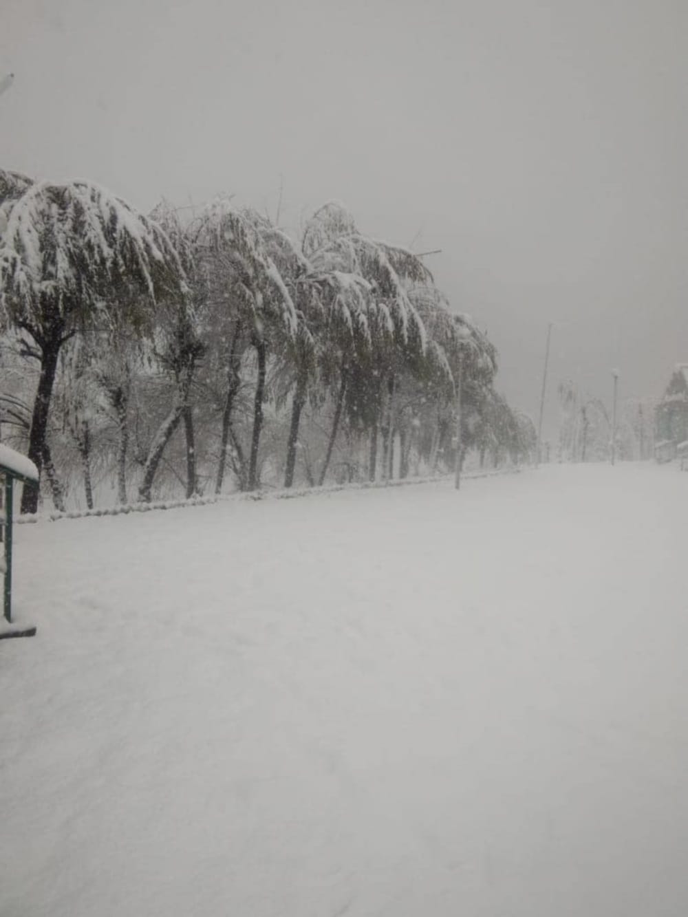 uttarakhand weather update: Heavy snowfall alert for next two days