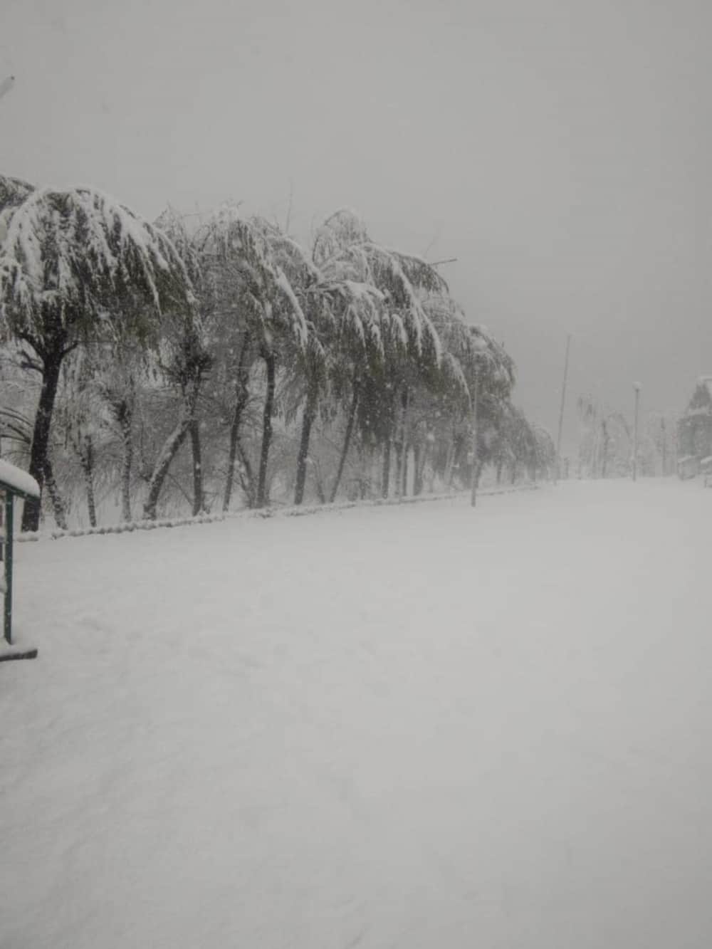 uttarakhand weather update : Snowfall awesome exclusive photos