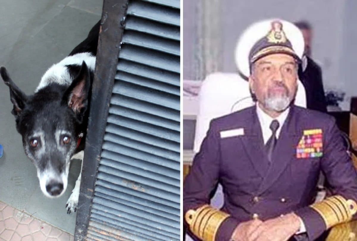 admiral sushil kumar passes away his beloved dog is so sad that he kept waiting for him on gate