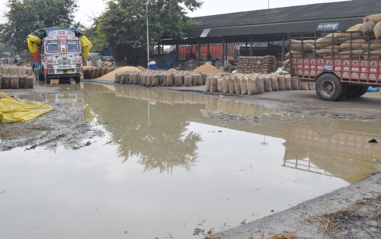 water logging in mandi, dhan crop effected