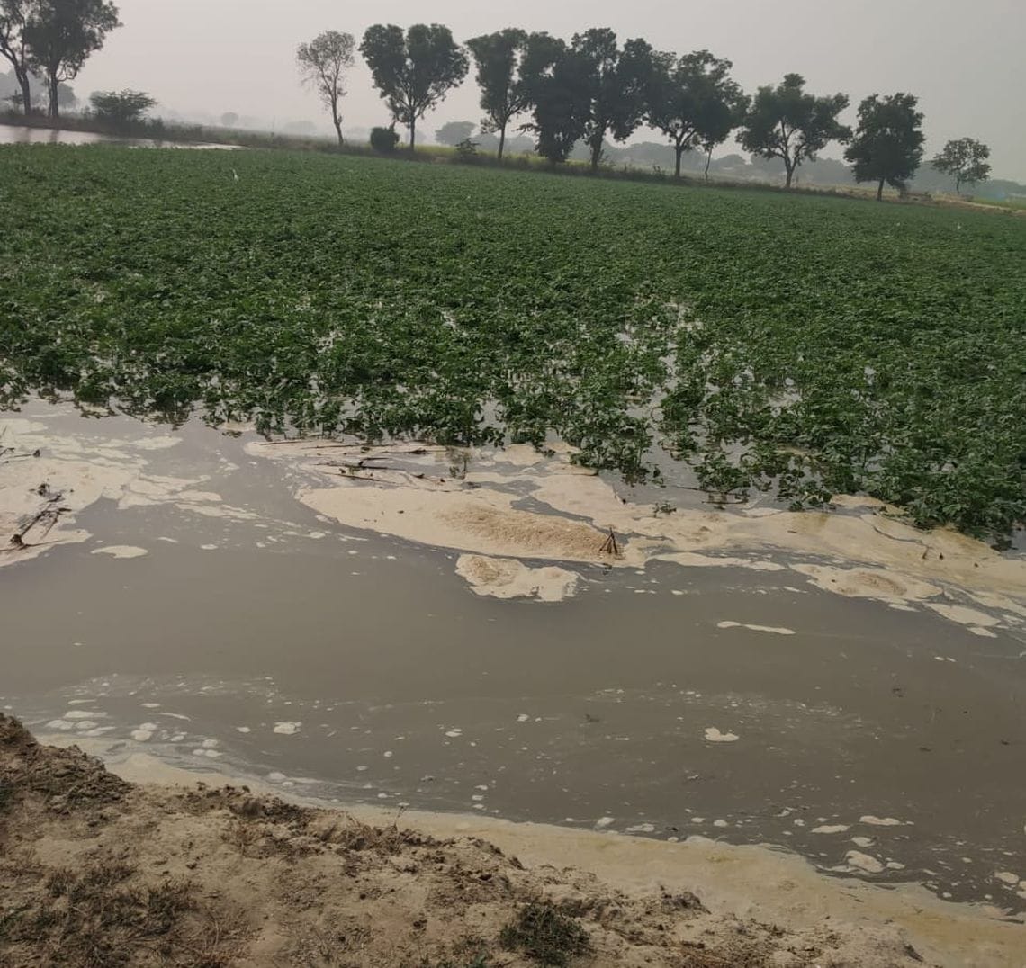 khet me pani