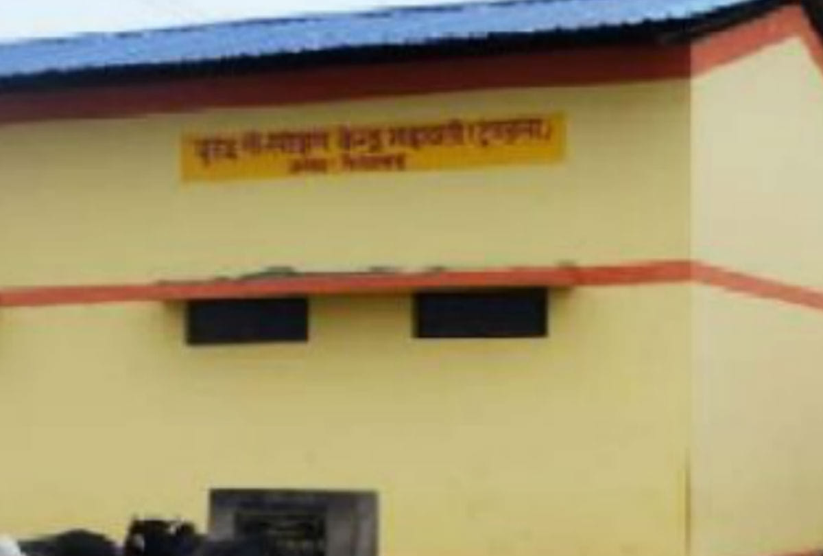 dogs eaten dead cow in goshala in firozabad