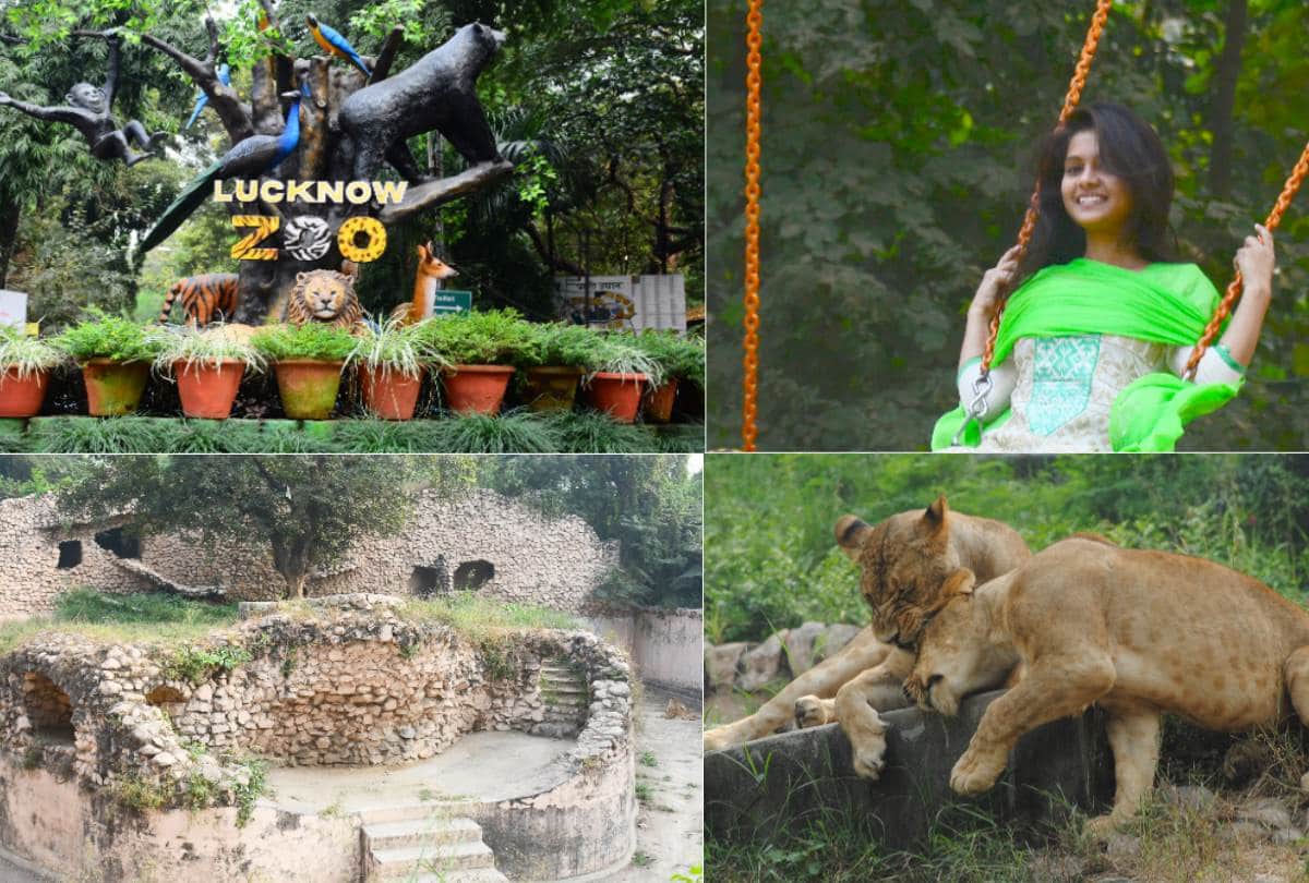 special story on foundation day of lucknow zoo
