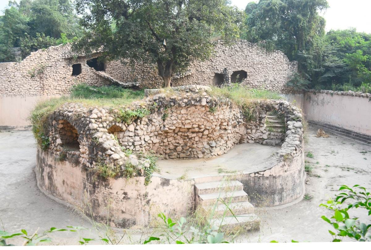 special story on foundation day of lucknow zoo