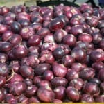 80 रुपये किलो बिक रहा प्याज