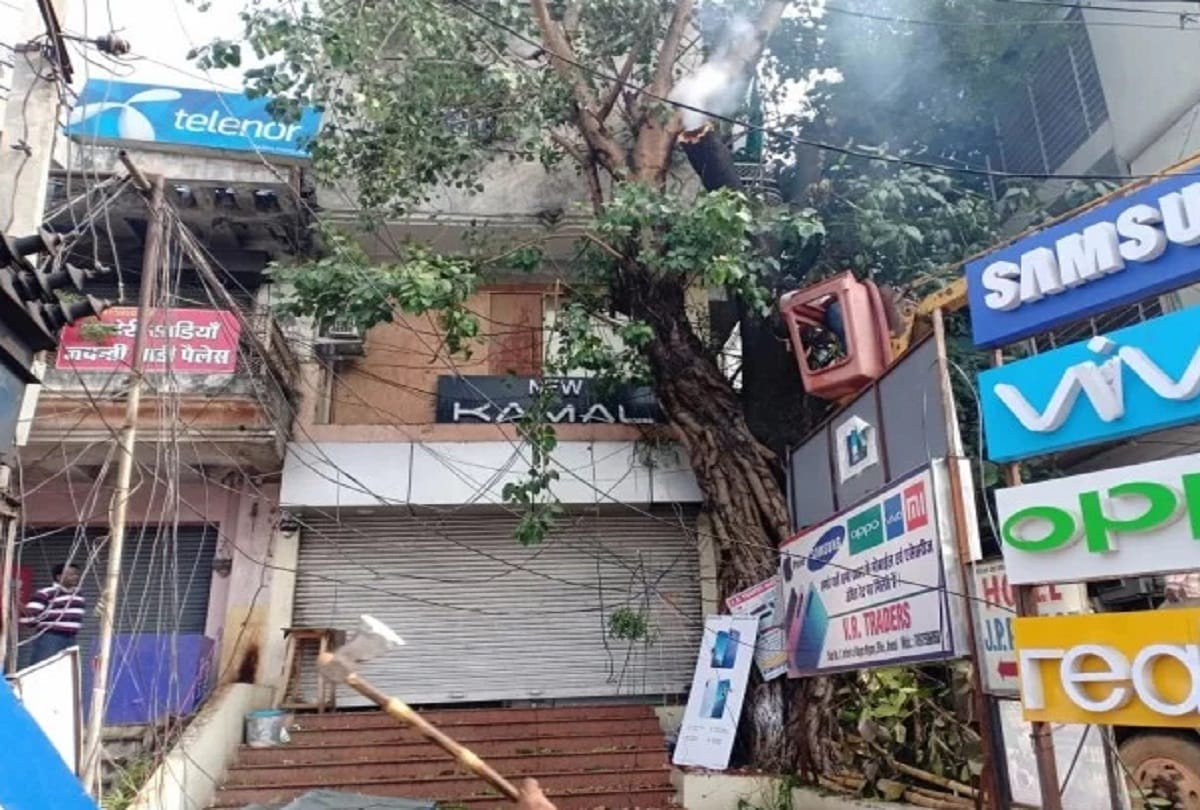 fire in tree