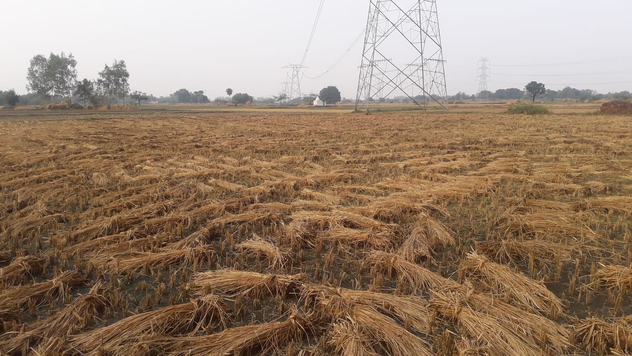 kanpur dehat rain