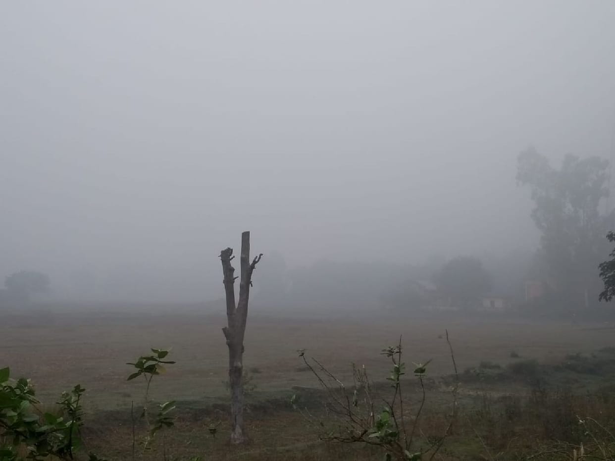 Shadowy fog in the valley