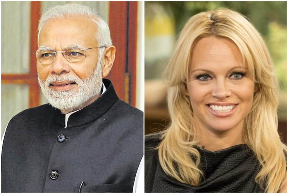 pamela anderson written a letter to pm narendra modi