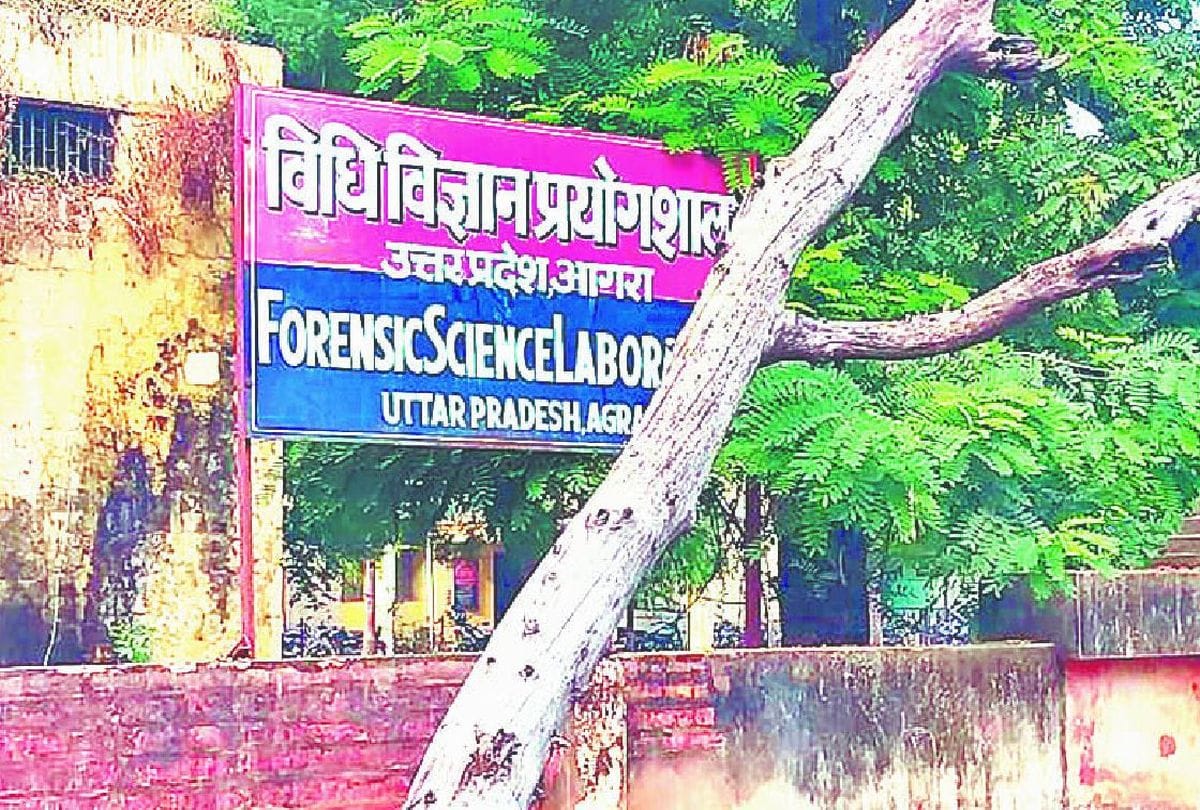 Five Scientists Did  viscera Test In 12 Hours Found Methyl Alcohol