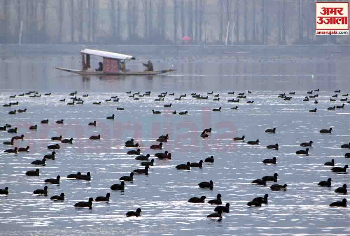 SUNNY DAY after snowfall in kashmir, snowfall in gulmarg, most beautiful places in kashmir