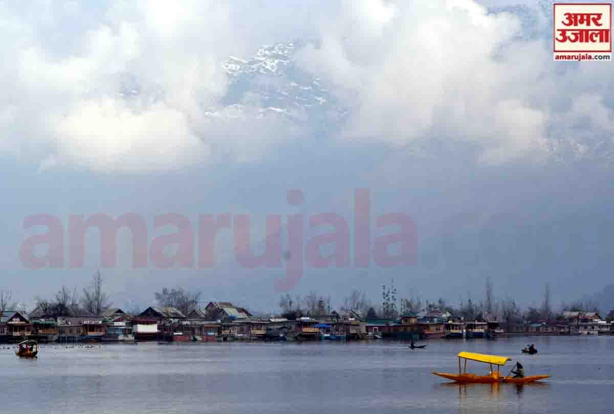 SUNNY DAY after snowfall in kashmir, snowfall in gulmarg, most beautiful places in kashmir