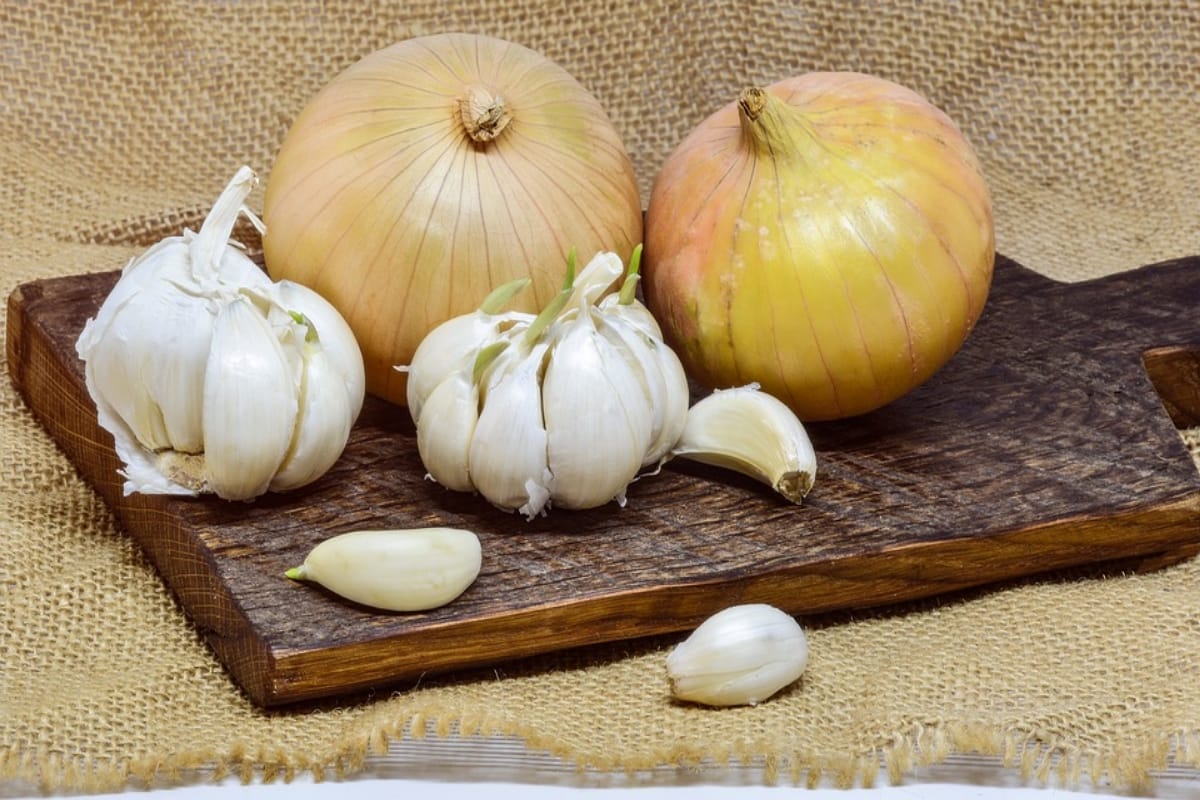 Why onions are considered tamasic and rajasic in Ayurveda and what are their benefits