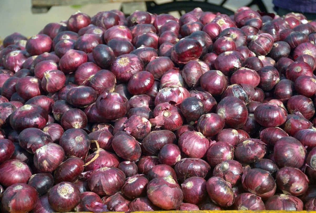 USA people infected from eating red onions salmonella