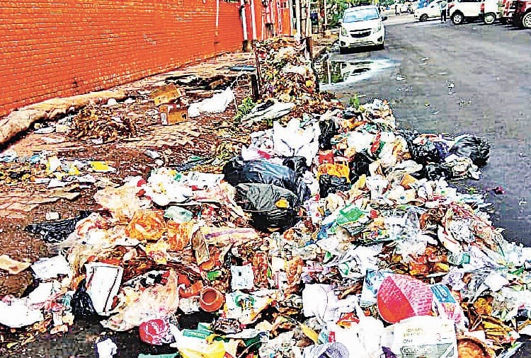 Waste and Garbage Problem in Chandigarh, Nagar Nigam Fails to Sort Out Problem