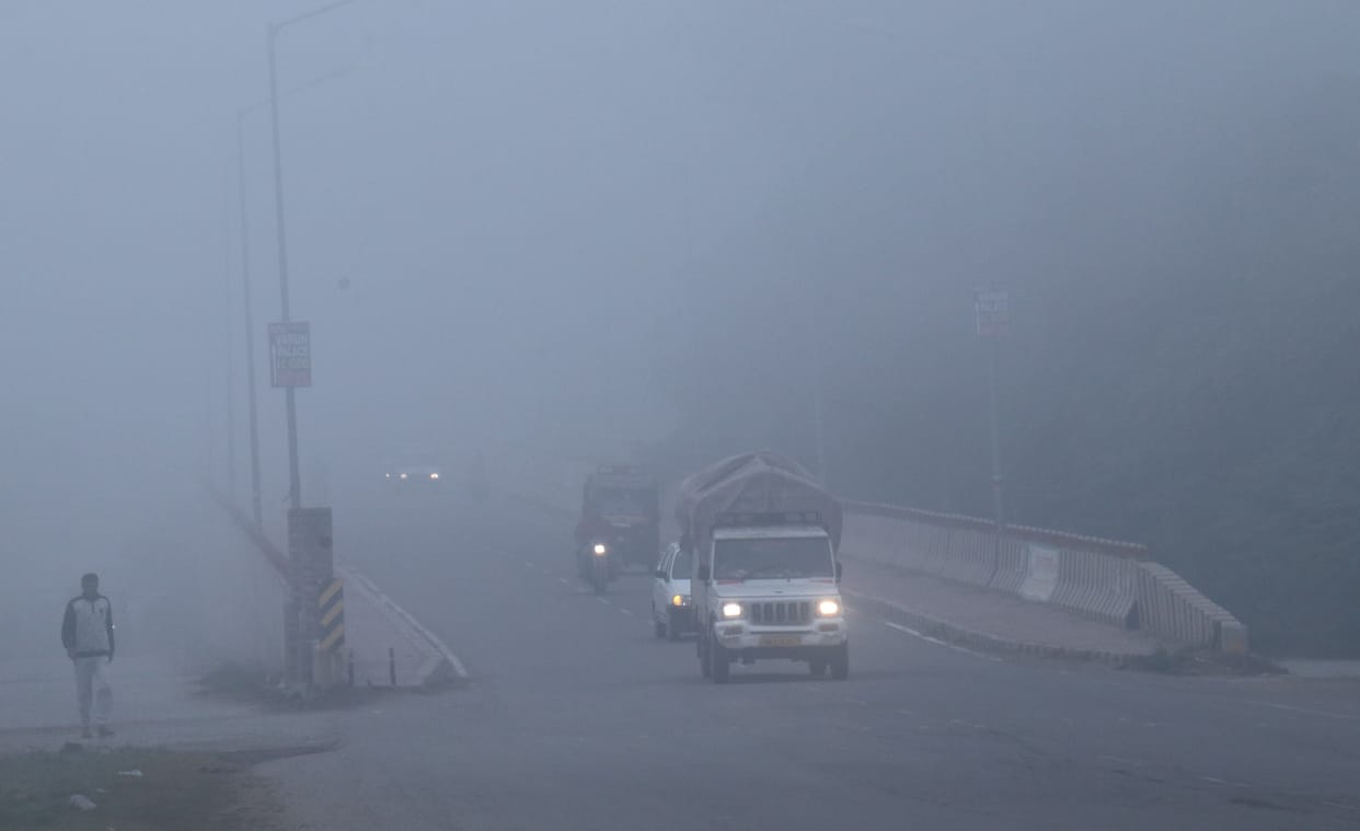 fog, winter