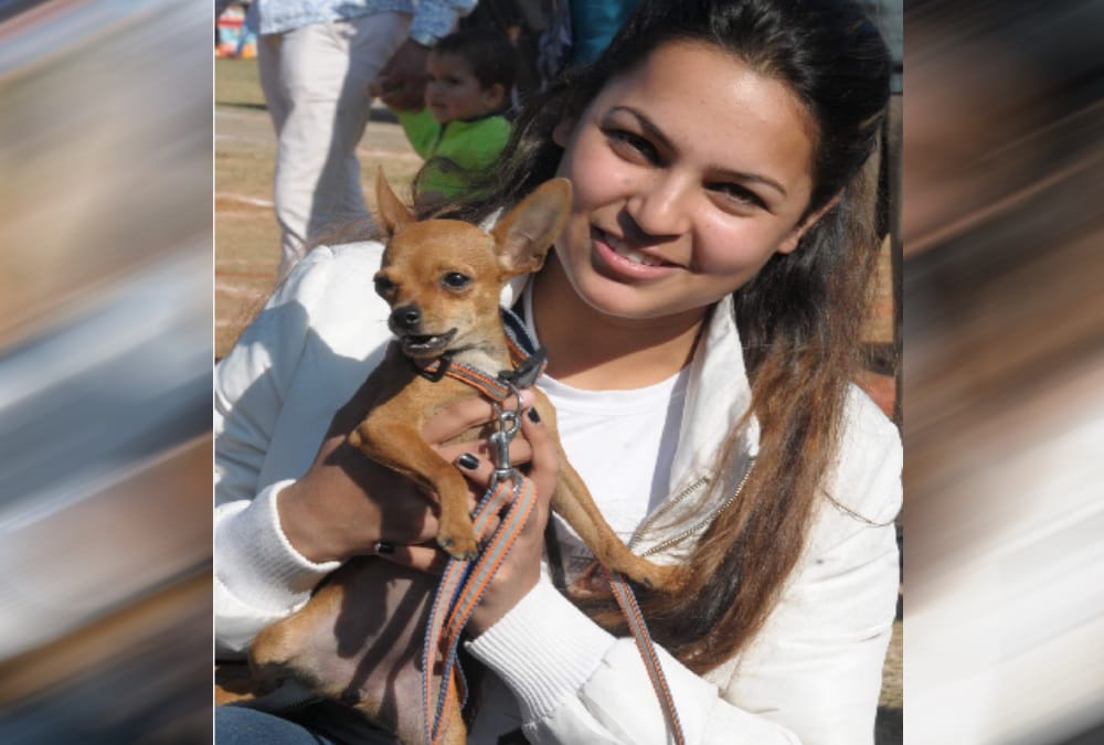 Various breeds dogs come in dehradun dog show 2019