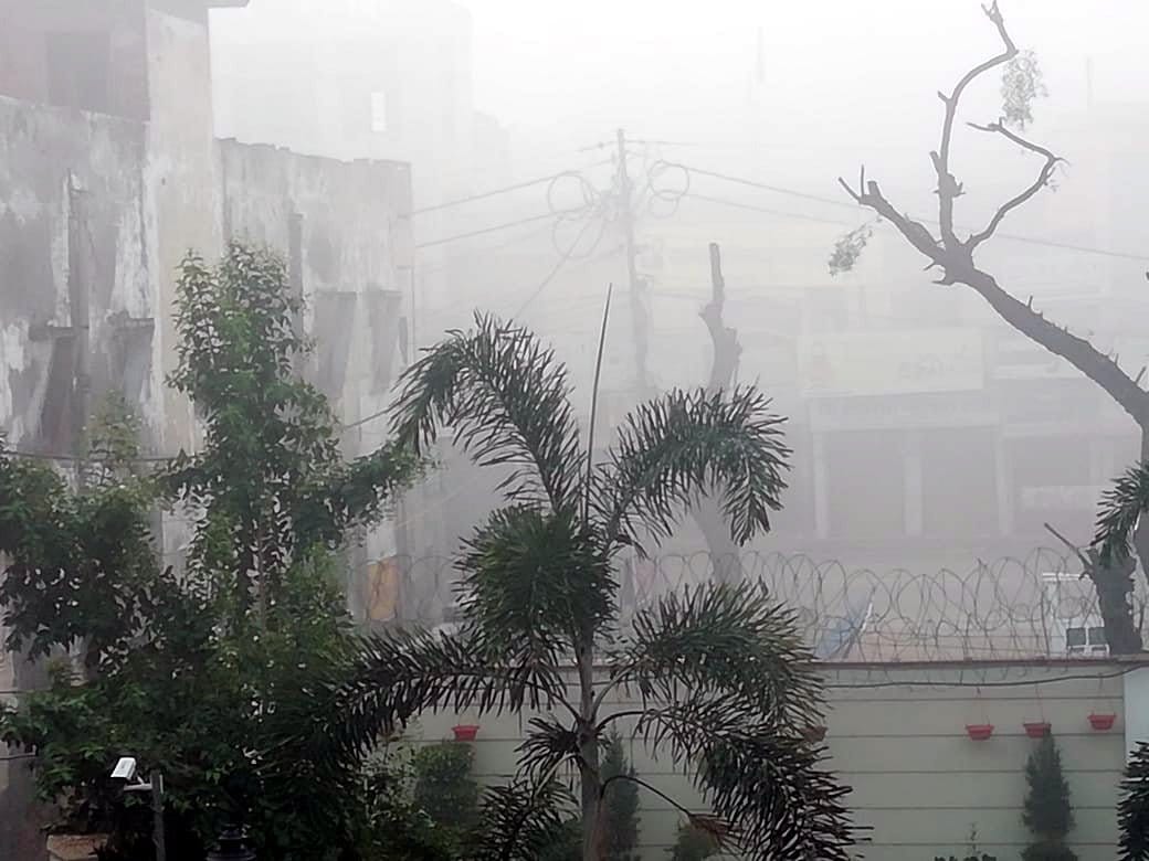 Fog visible, trains, buses affected