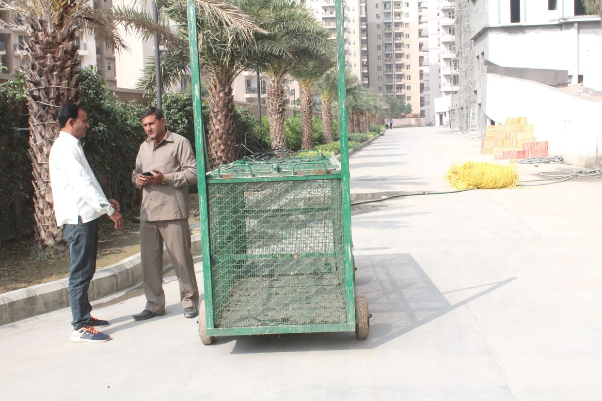 Mystry leopard spreds panic in greater noida west socaity, hunt on