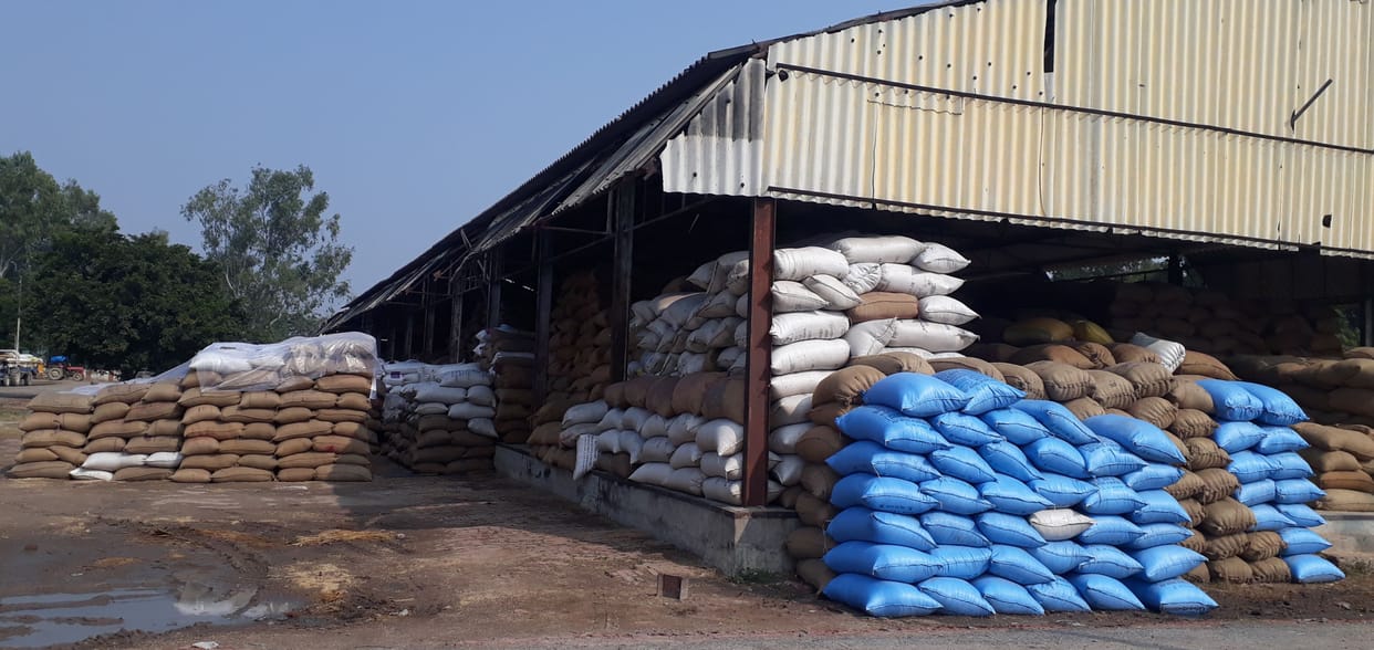 kanpur dehat agricalure