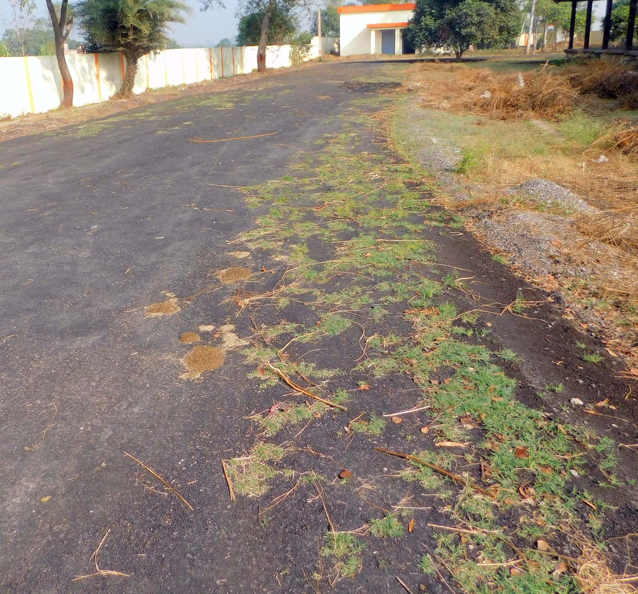 New road started breaking down within a month