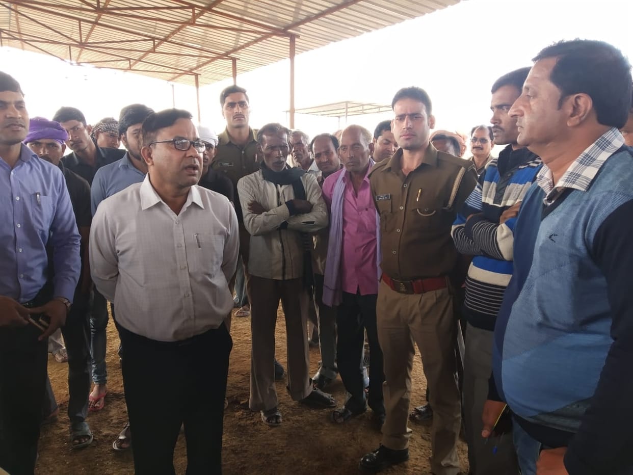 Five cow dynasties killed in Purva Gangu's Goshala, two serious
