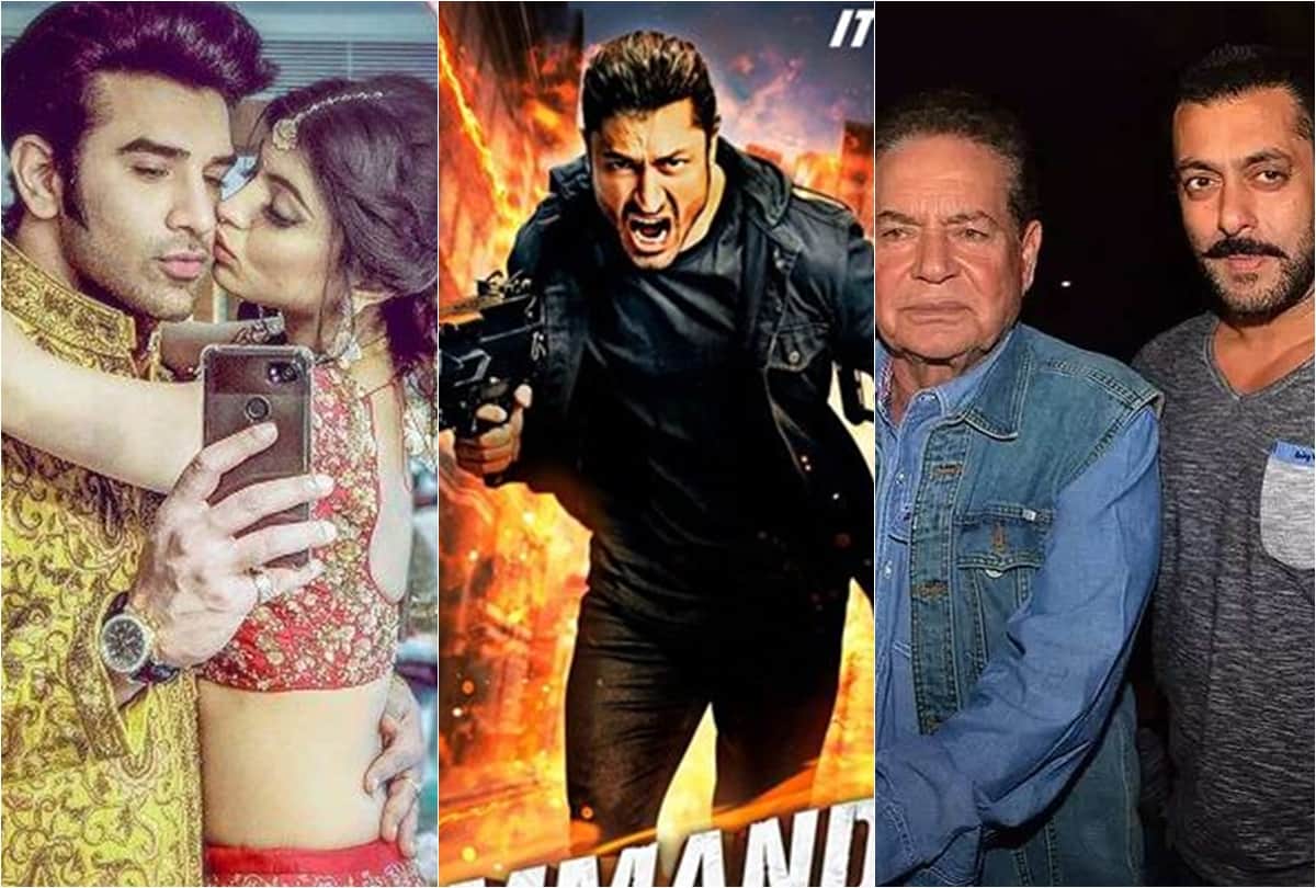 News Capsule Commando 3 Asim Riaz Akanksha salman Bigg Boss 13 Javed Dharmendra Dabangg 3 salim khan
