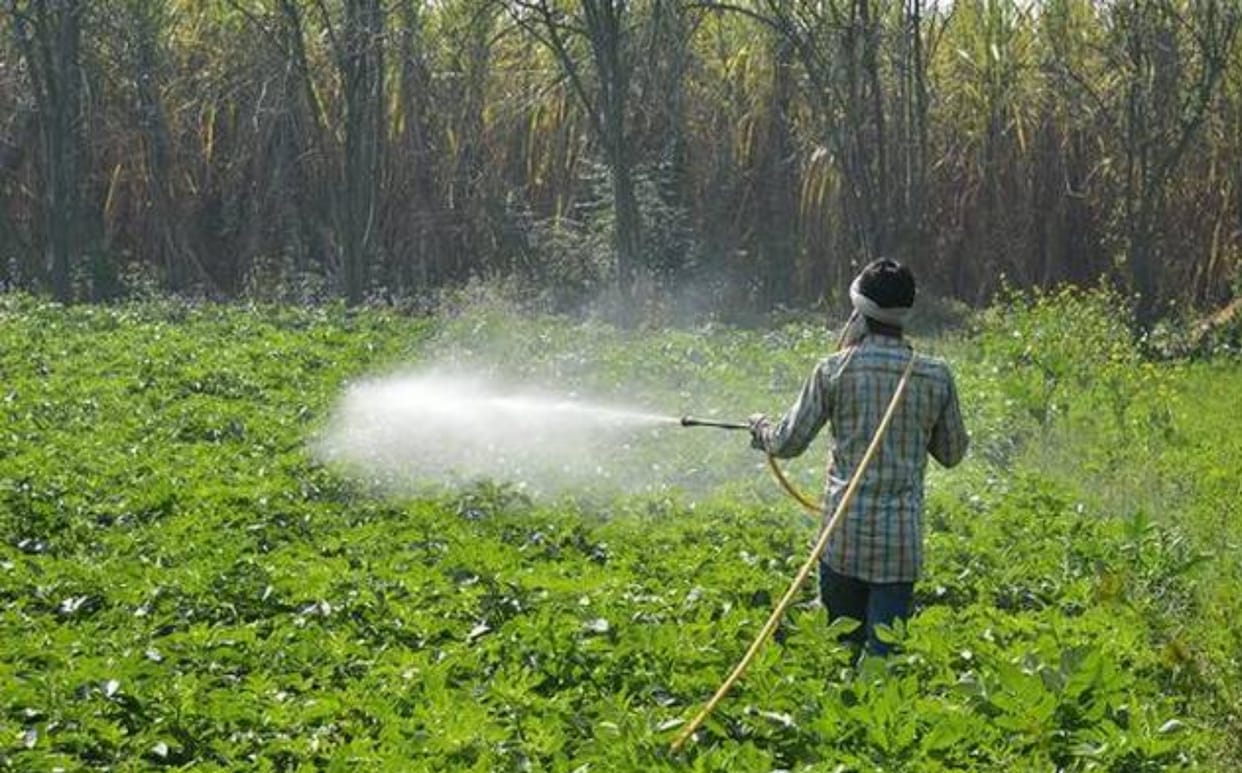 Pesticides will not be sold in government selling centers in himachal pradesh