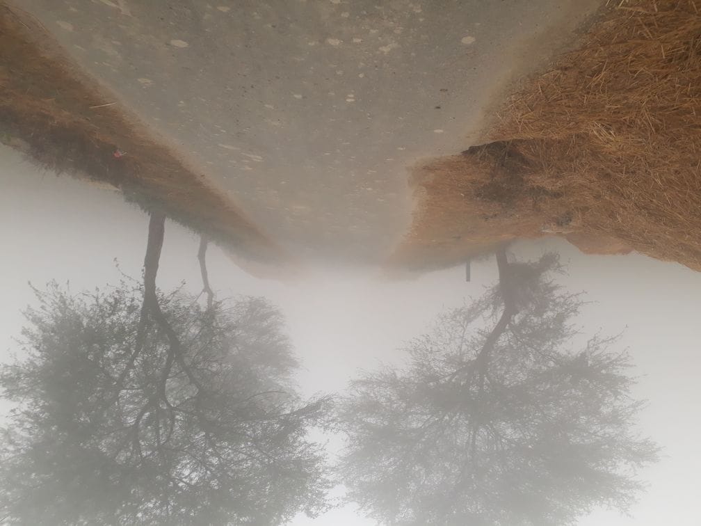 Mercury reaches eight degrees, fog covered valley