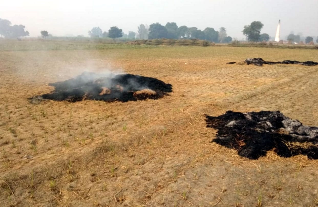 burn, parali, farmer, riport, etah, kasganj