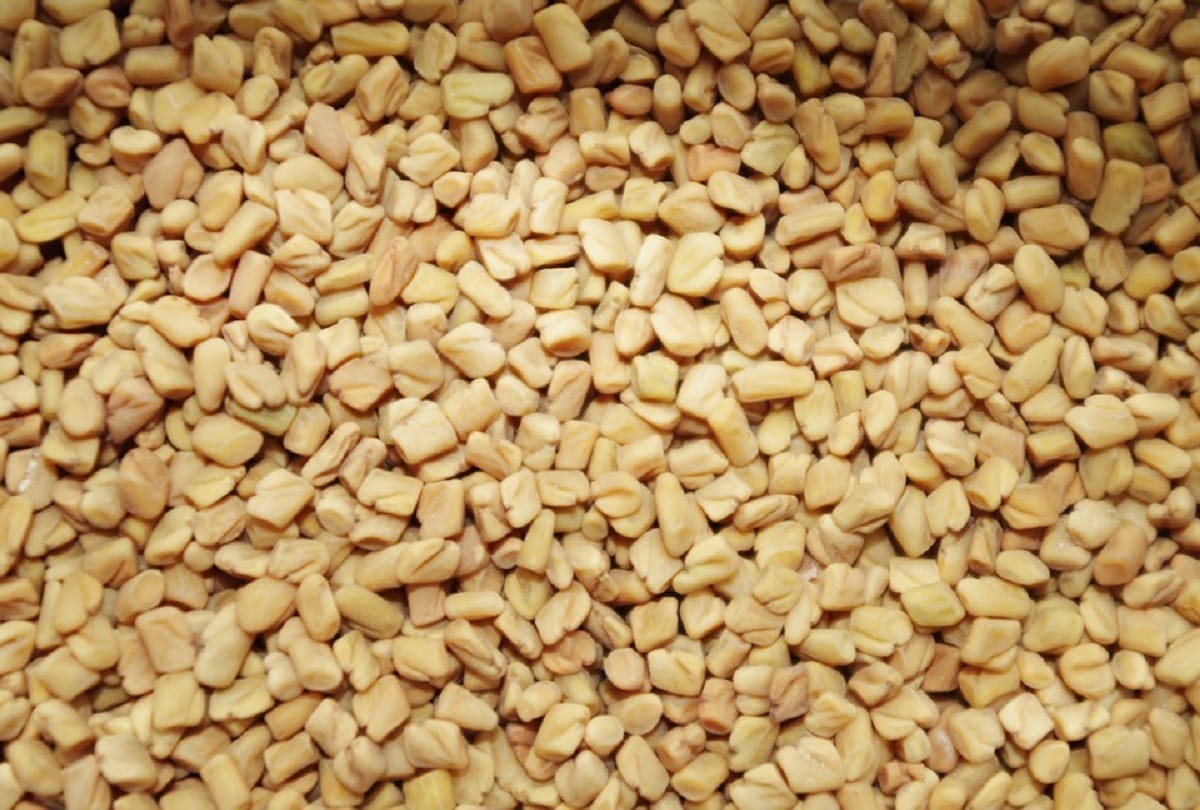 fenugreek seeds benefits for weight loss, acidity, diabetes, Cholesterol problem, methi dana home remedies