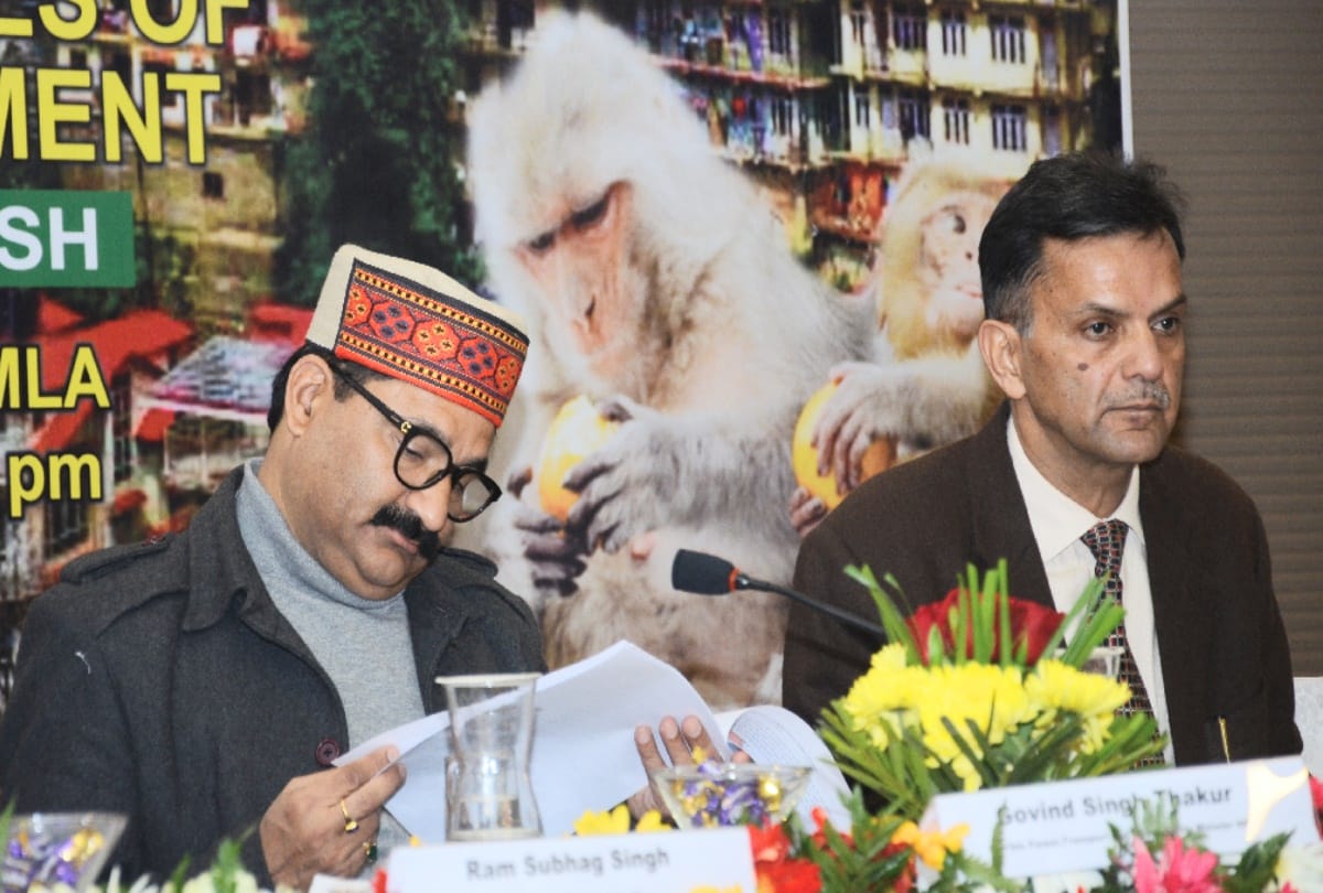 One thousand rupees will now be paid to catch monkeys in Himachal: Forest Minister
