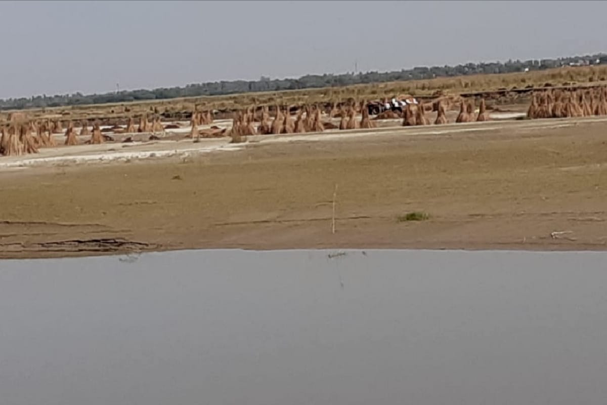 fertilizer of dead animals remain polluting the Ganga River in hastinapur meerut