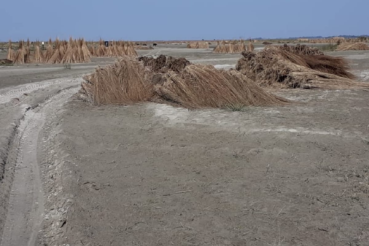 fertilizer of dead animals remain polluting the Ganga River in hastinapur meerut