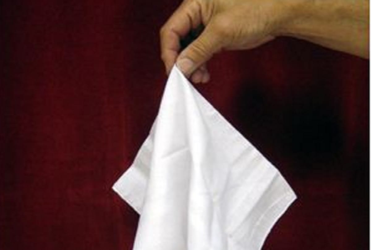 Man wants police to probe `theft' of his handkerchief
