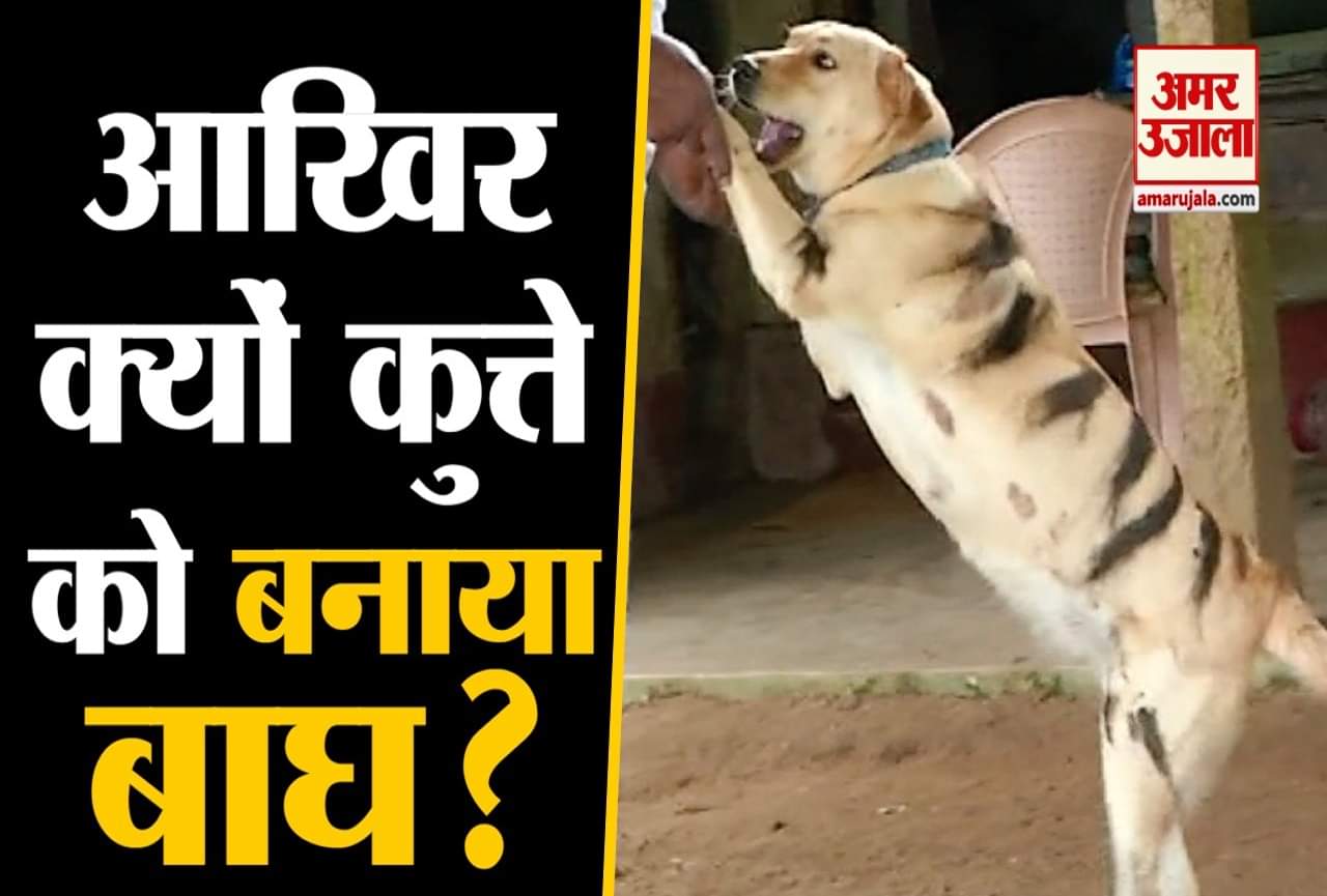 कर्नाटक