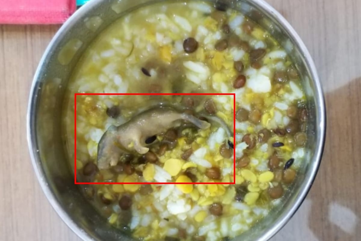 Dead rat found in mid-day meal in an inter college in Muzaffarnagar, nine children git sick