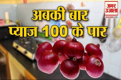 Onion Price Hikes : Know The Rate of Onion In Your City