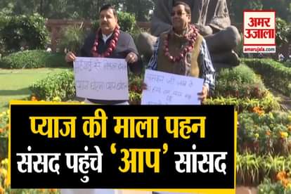 AAP Protest Against Onion Price Hike Near Parliament