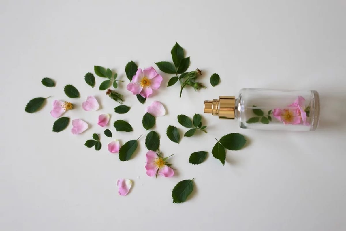 best home remedies to get rid of sweat odor in every season