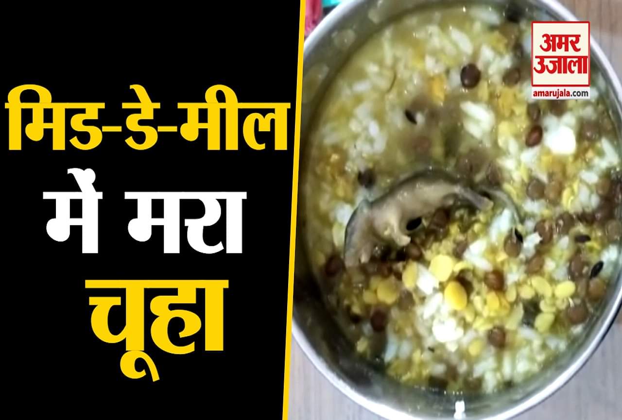यूपी न्यूज
