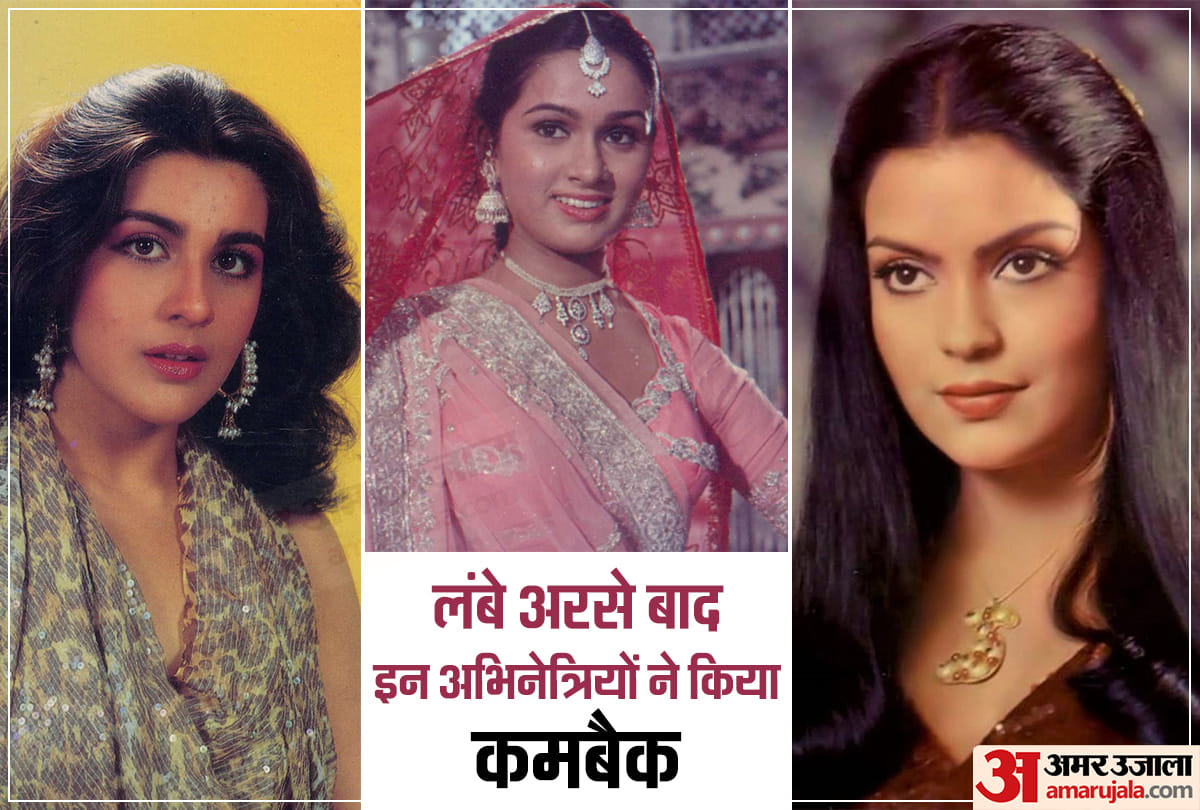 Year Ender 2019 Zeenat Aman to Padmini Kolhapure 4 actresses comeback in Bollywood