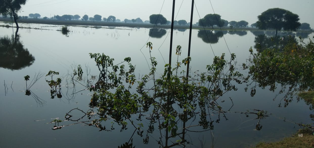 Canal water entering the fields, farmers angry