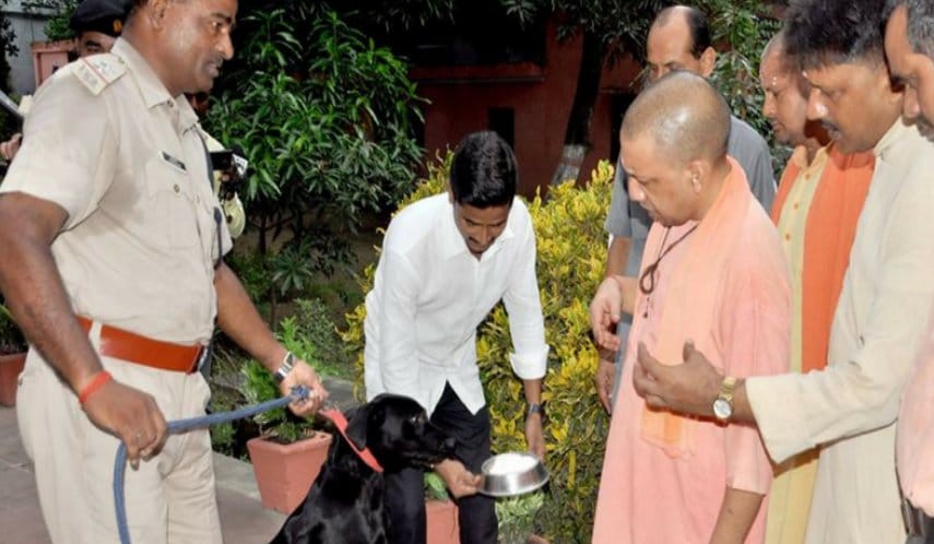 why chief minister yogi adityanath loves doggy kallu, unique story behind this