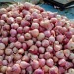 onion