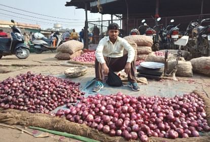 790 tonnes of imported onion reaches india, however prices relief after january only